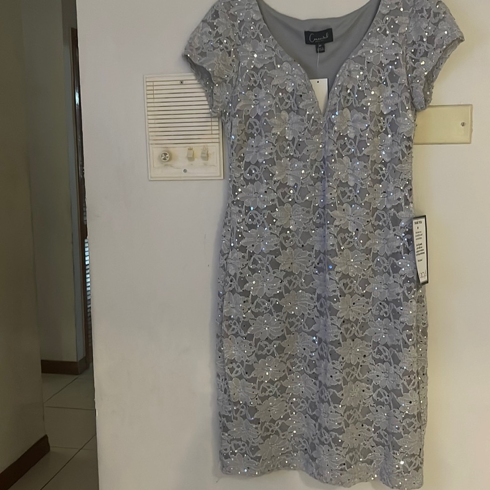 Sequined Lace Dress. Same dress as link with tags. Brand new.